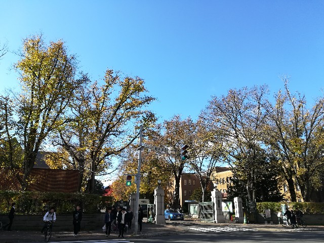 f:id:alovesun:20181102201217j:image