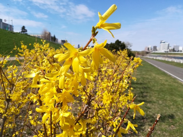 f:id:alovesun:20190428145246j:image