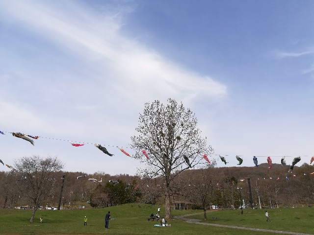 f:id:alovesun:20190503130014j:image f:id:alovesun:20190503130014j:image