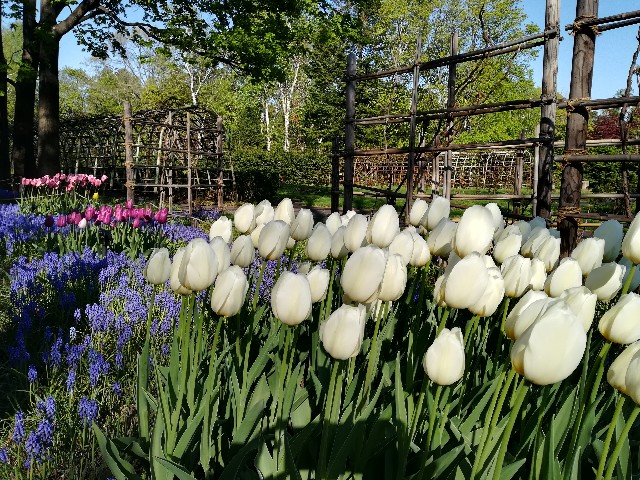 f:id:alovesun:20190511183044j:image