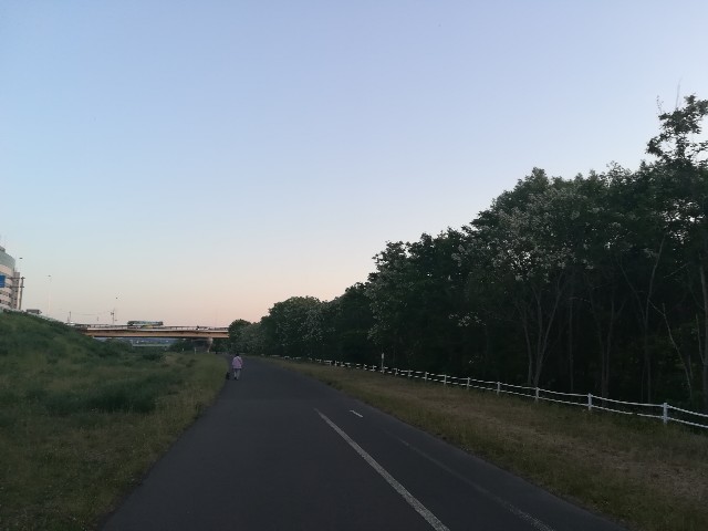f:id:alovesun:20190603215342j:image