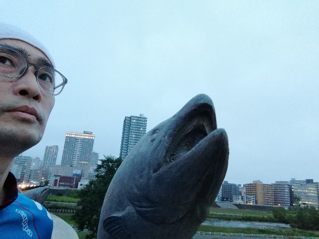 f:id:alovesun:20190627230816j:image
