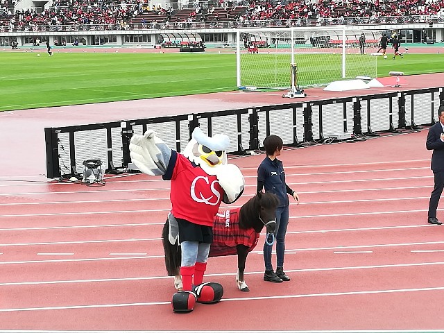 f:id:alovesun:20190915104038j:image