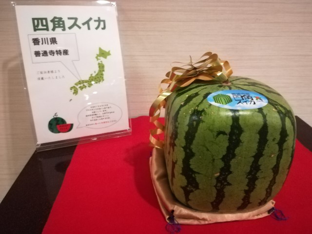 f:id:alovesun:20191014214512j:image