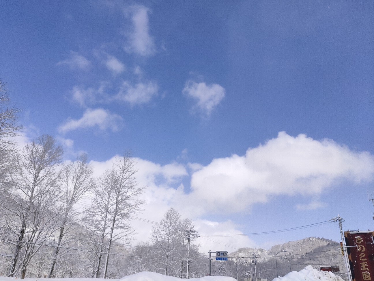 f:id:alovesun:20200315013540j:image f:id:alovesun:20200315013540j:image