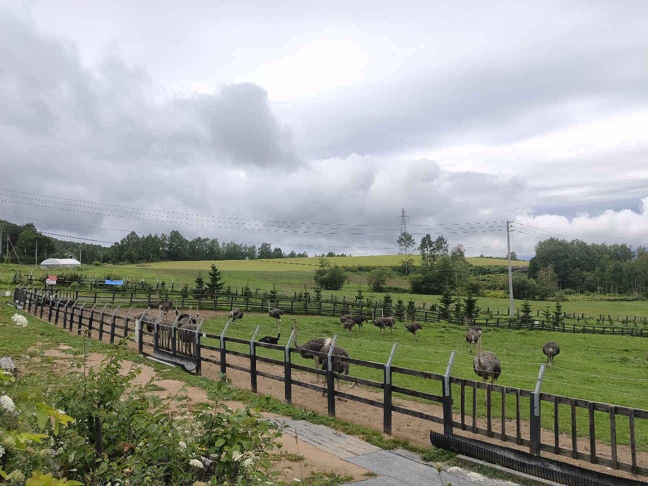 f:id:alovesun:20200822003734j:image