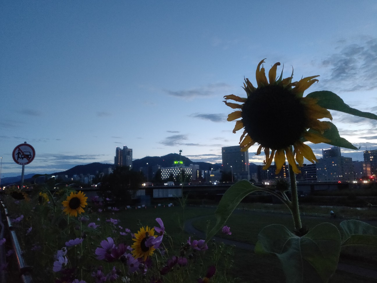 f:id:alovesun:20200908112409j:image f:id:alovesun:20200908112409j:image