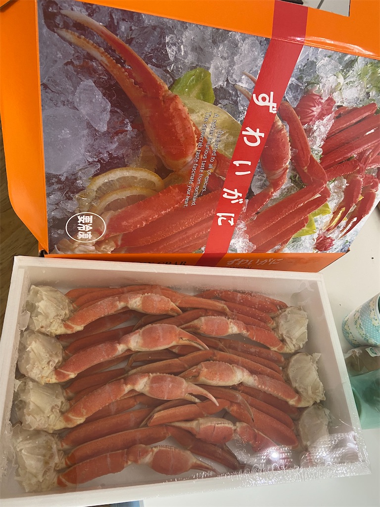 f:id:alpacabonappetit:20241230165936j:image