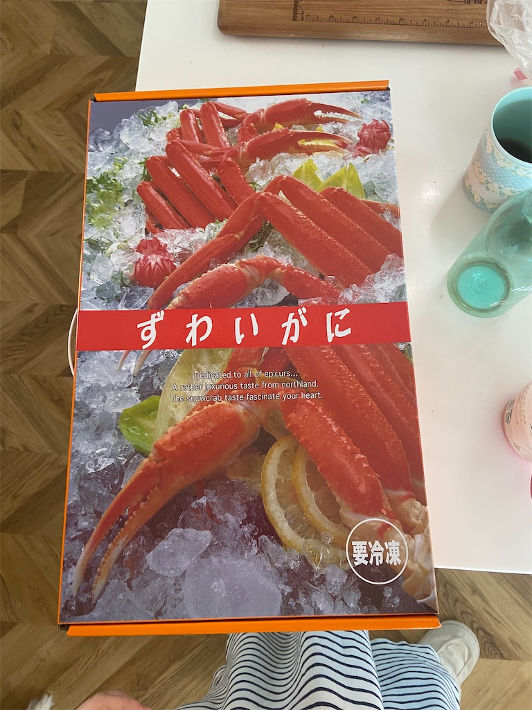 f:id:alpacabonappetit:20241230165946j:image