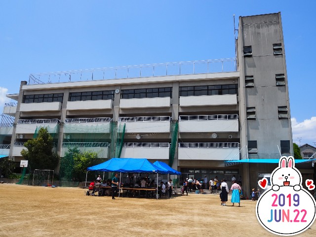 f:id:alpacachanblog:20190706143359j:image f:id:alpacachanblog:20190706143359j:image