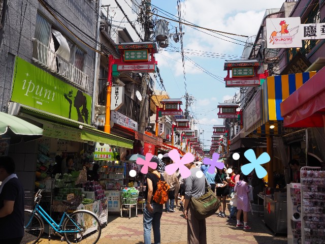 f:id:alpacachanblog:20190706214121j:image f:id:alpacachanblog:20190706214121j:image