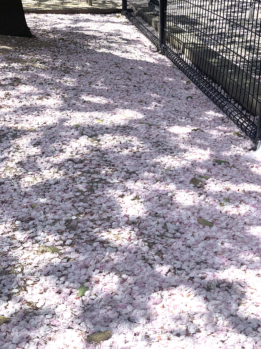 f:id:alpanda:20190416025112j:plain