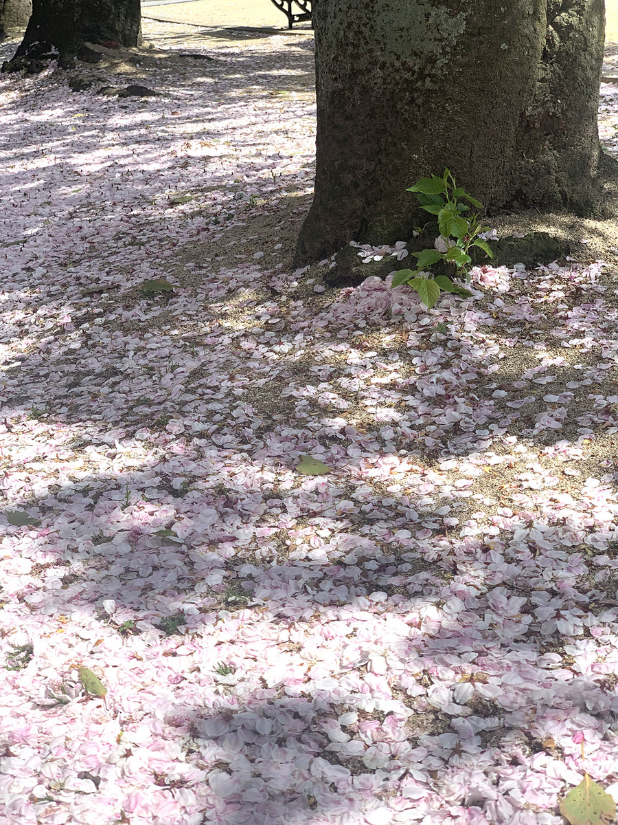 f:id:alpanda:20190416025657j:plain