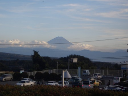 f:id:alpenflora:20101011161701j:image