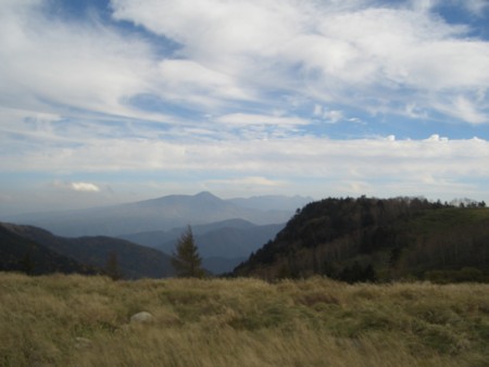 f:id:alpenflora:20101016140633j:image