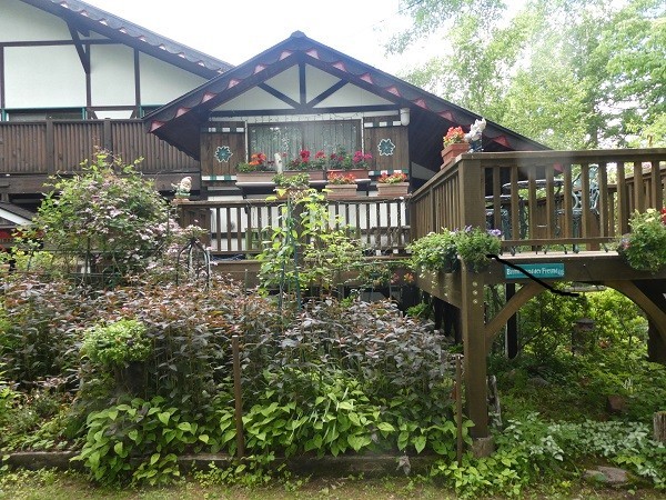 f:id:alpenflora:20190625162511j:plain