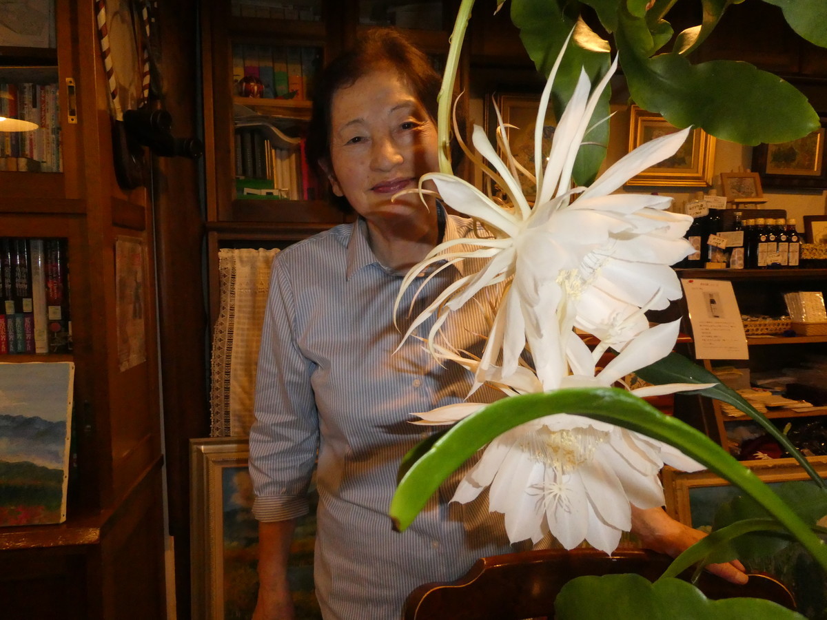 f:id:alpenflora:20190701224642j:plain