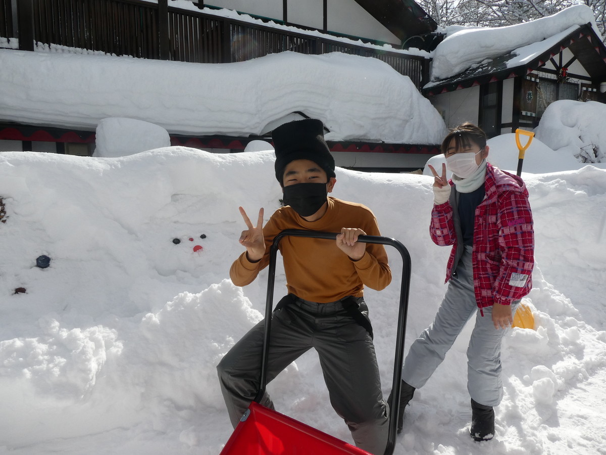 f:id:alpenflora:20220220100413j:plain