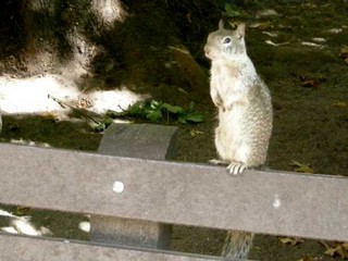 f:id:alpha_c:20080819162036j:image f:id:alpha_c:20080819162036j:image