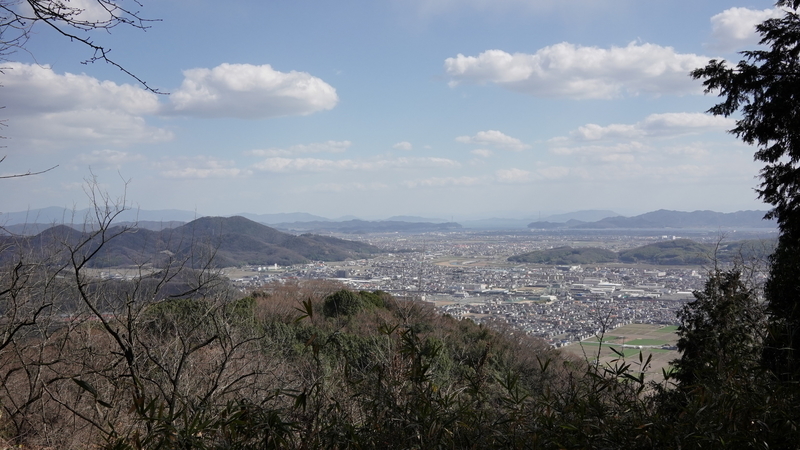 f:id:alpha_image:20190321153455j:plain f:id:alpha_image:20190321153455j:plain