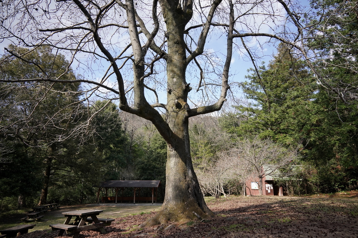 f:id:alpha_image:20190321154617j:plain f:id:alpha_image:20190321154617j:plain