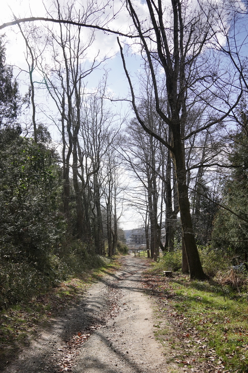 f:id:alpha_image:20190321154706j:plain f:id:alpha_image:20190321154706j:plain