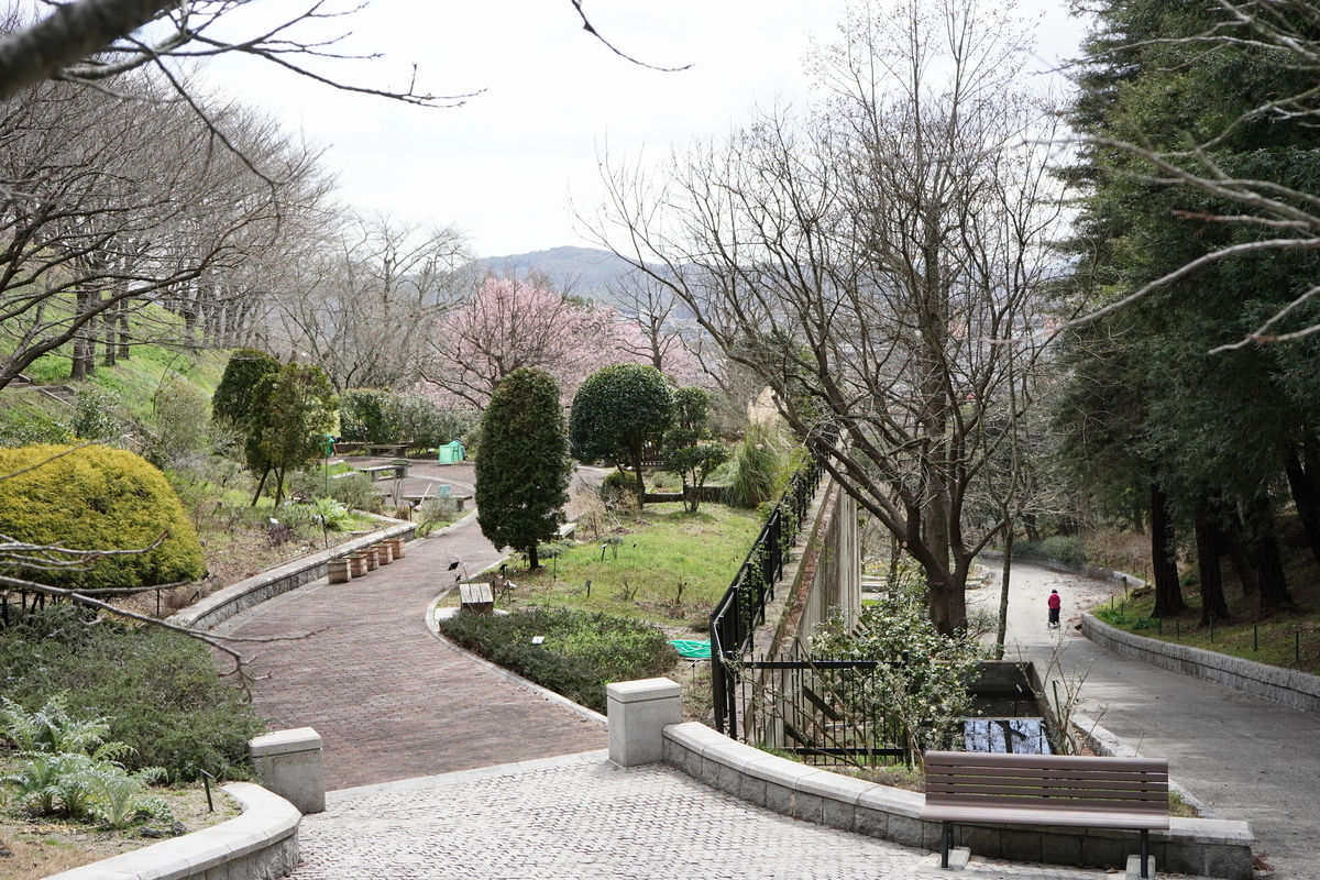 f:id:alpha_image:20190321155021j:plain f:id:alpha_image:20190321155021j:plain