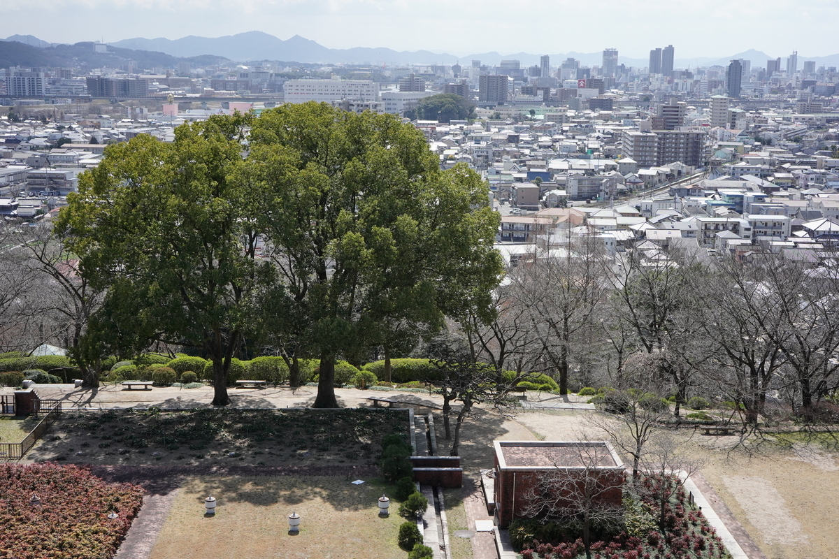f:id:alpha_image:20190321155057j:plain f:id:alpha_image:20190321155057j:plain