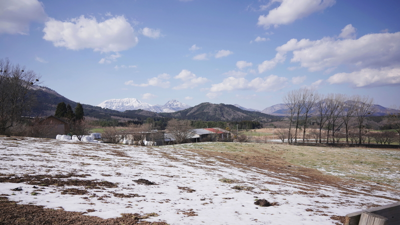 f:id:alpha_image:20190414203234j:plain
