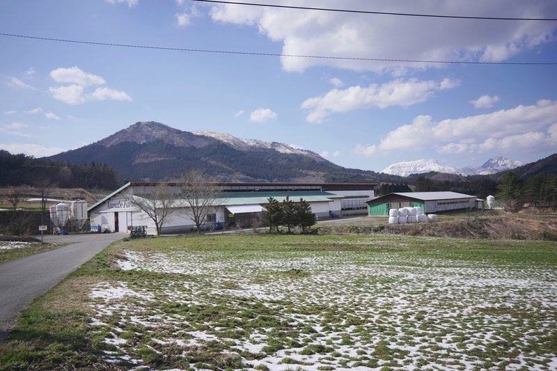 f:id:alpha_image:20190414203416j:plain