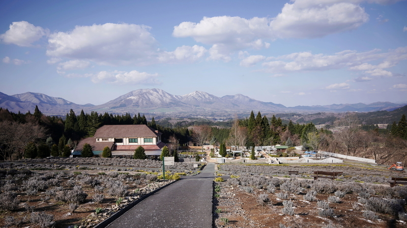 f:id:alpha_image:20190414203643j:plain