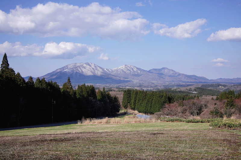 f:id:alpha_image:20190414203747j:plain