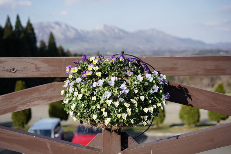 f:id:alpha_image:20190414203908j:plain