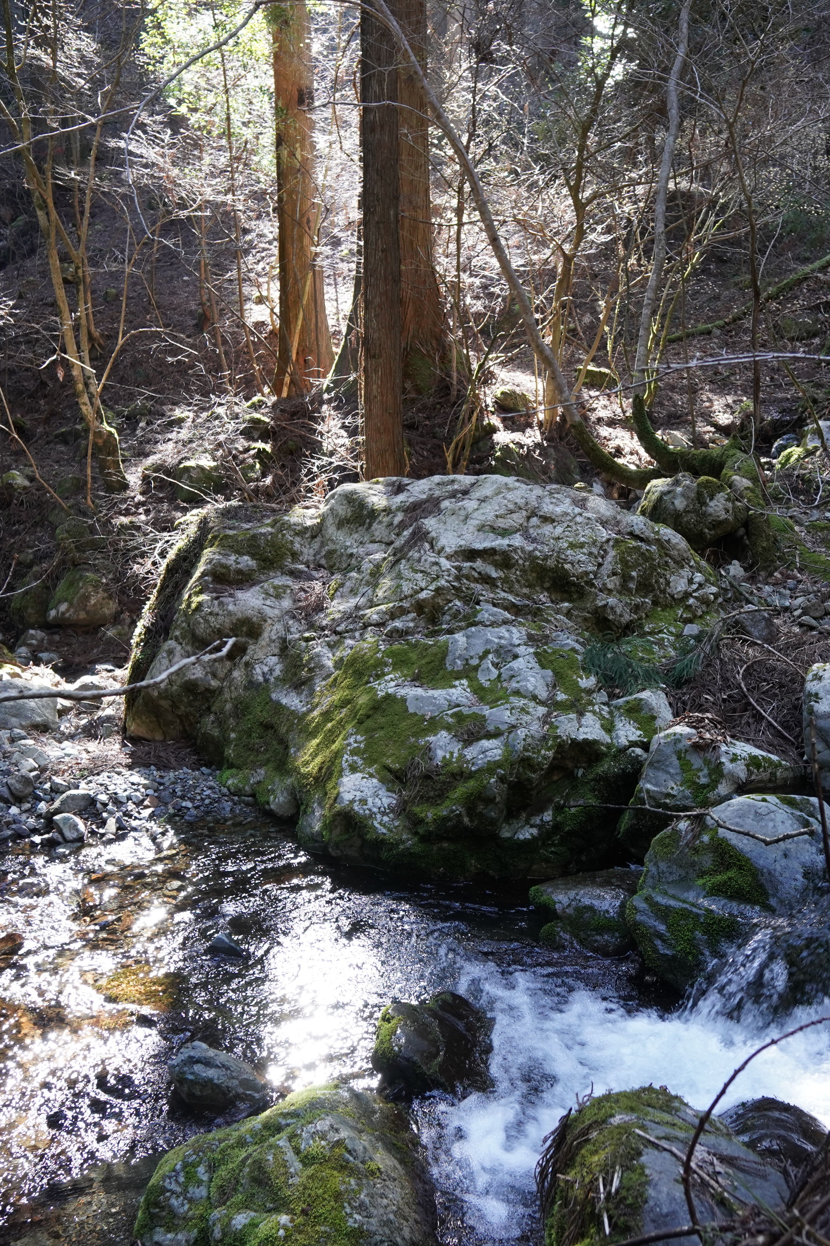 f:id:alpha_image:20190422025312j:plain