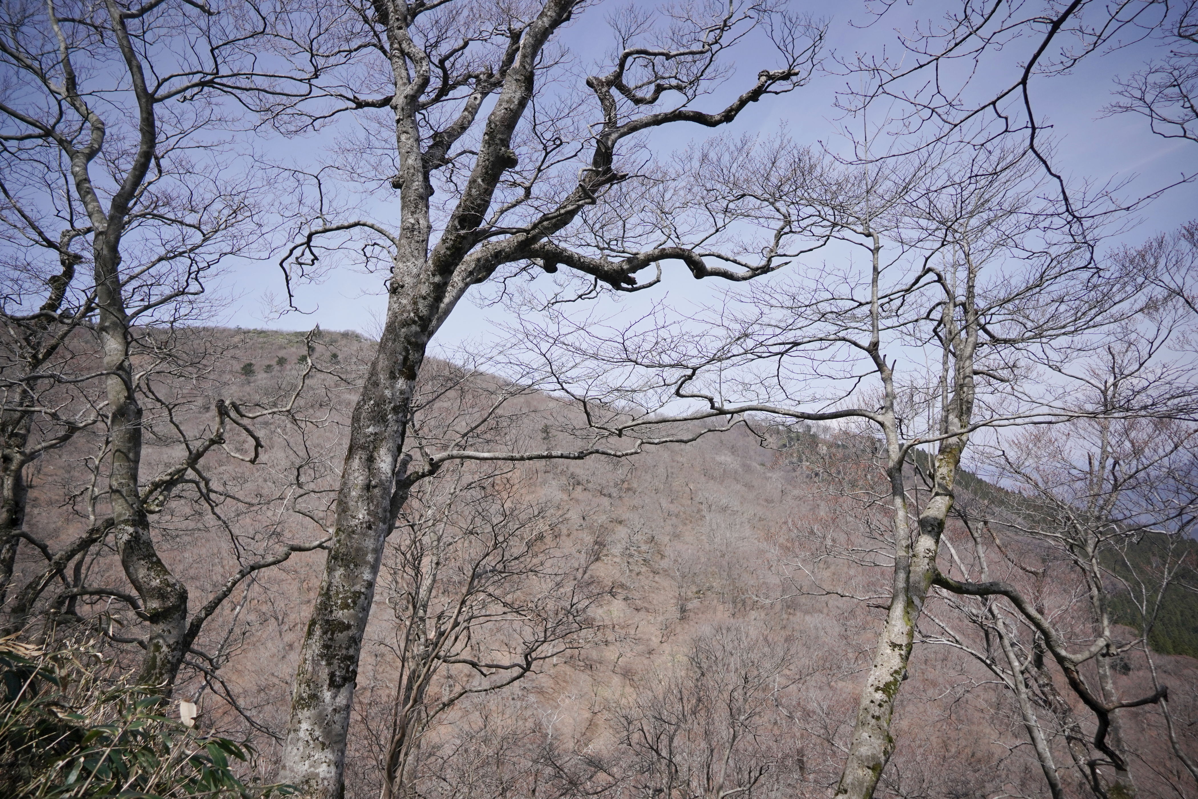 f:id:alpha_image:20190422025736j:plain