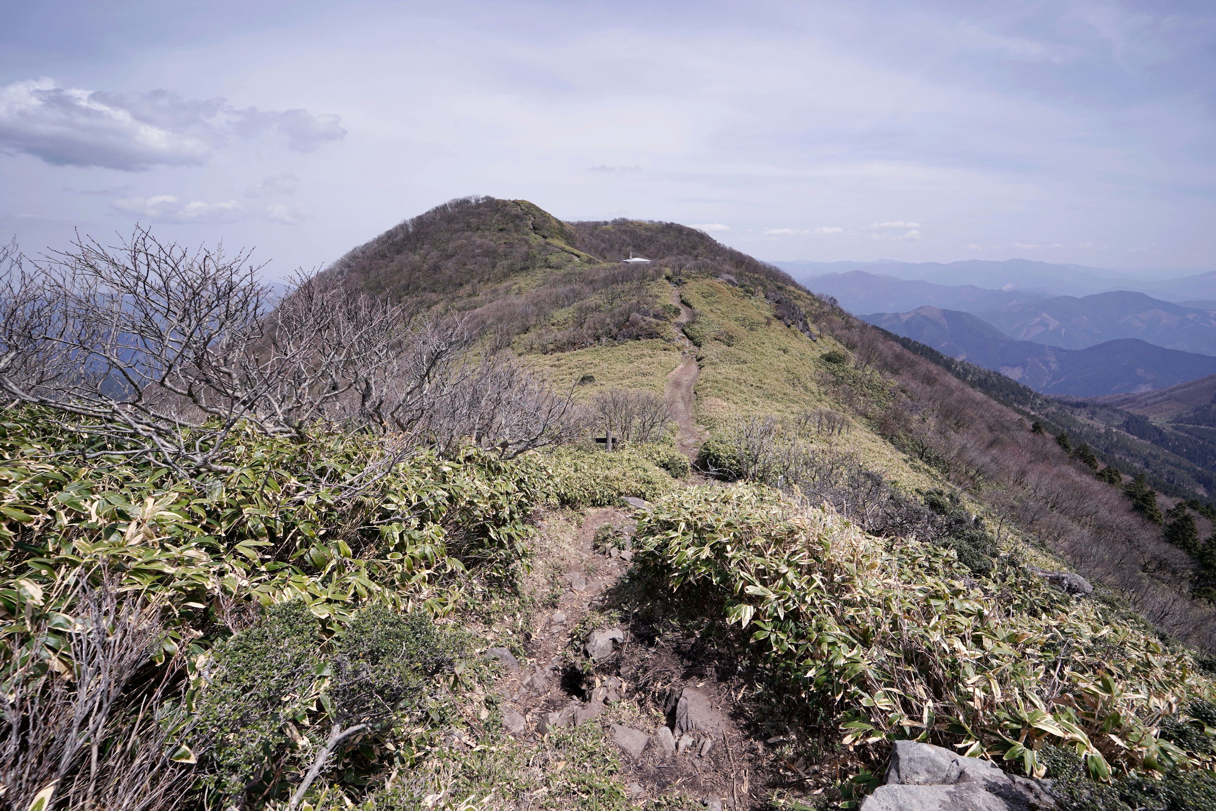 f:id:alpha_image:20190422025839j:plain