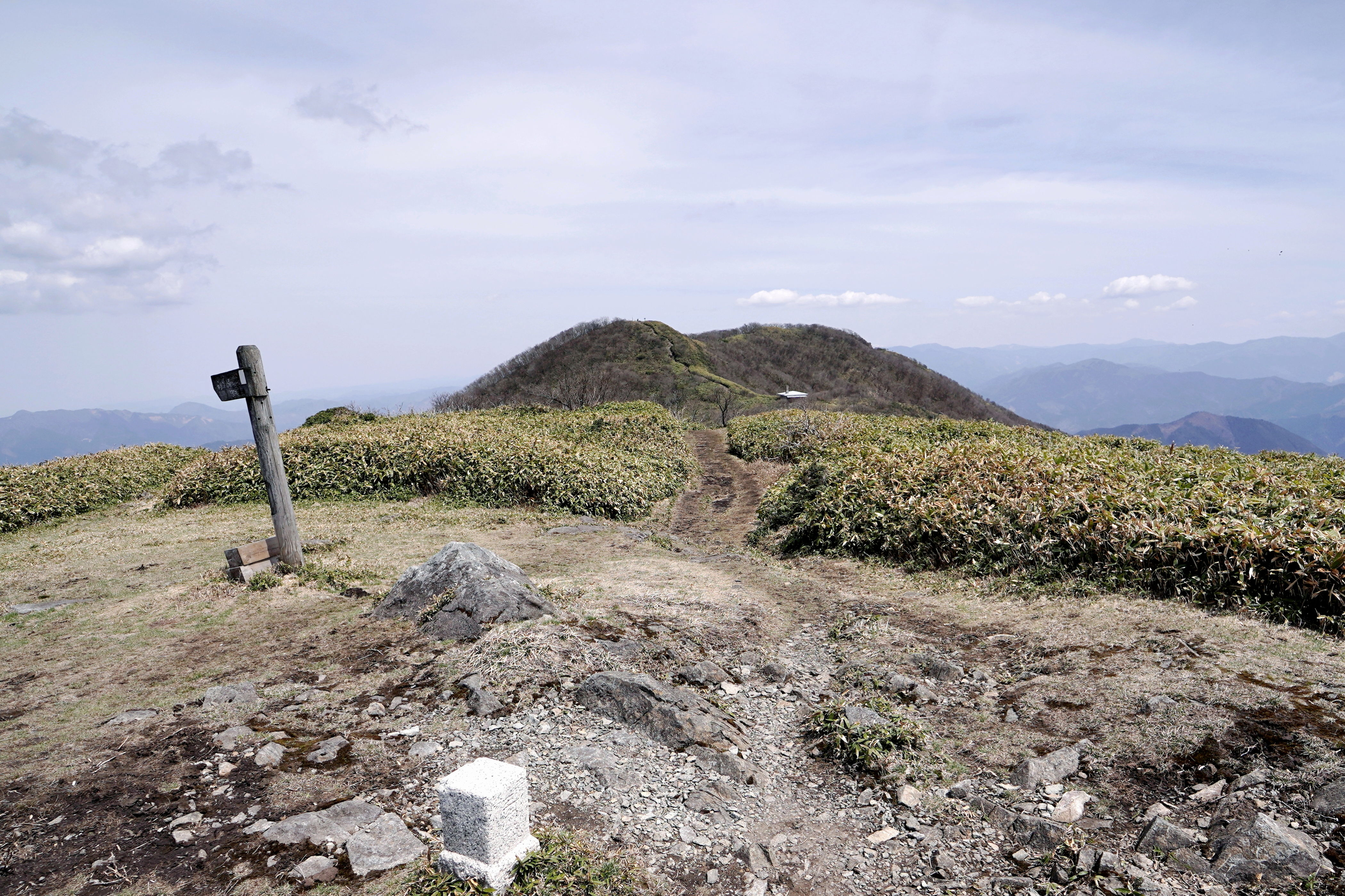 f:id:alpha_image:20190422025855j:plain