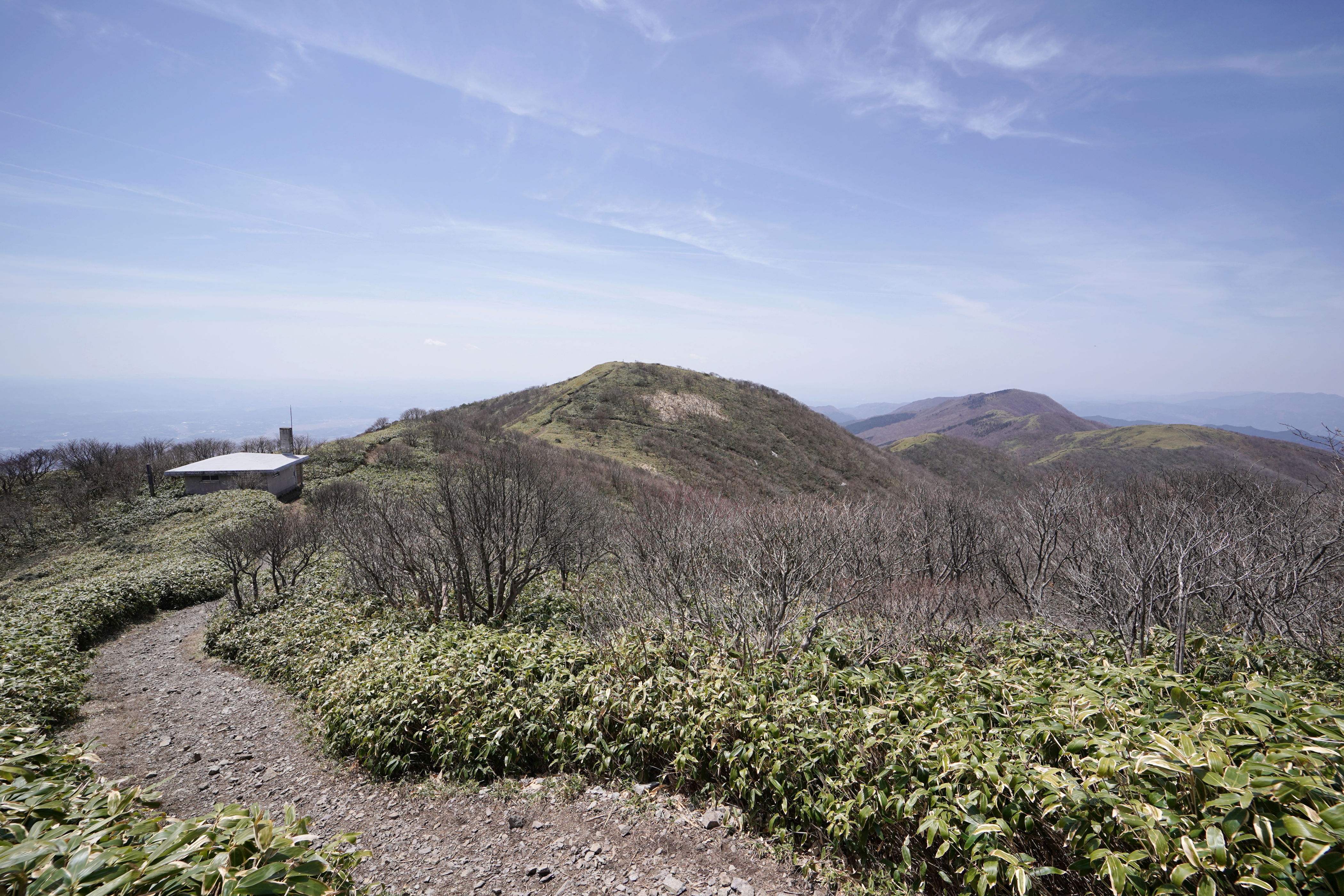 f:id:alpha_image:20190422030055j:plain
