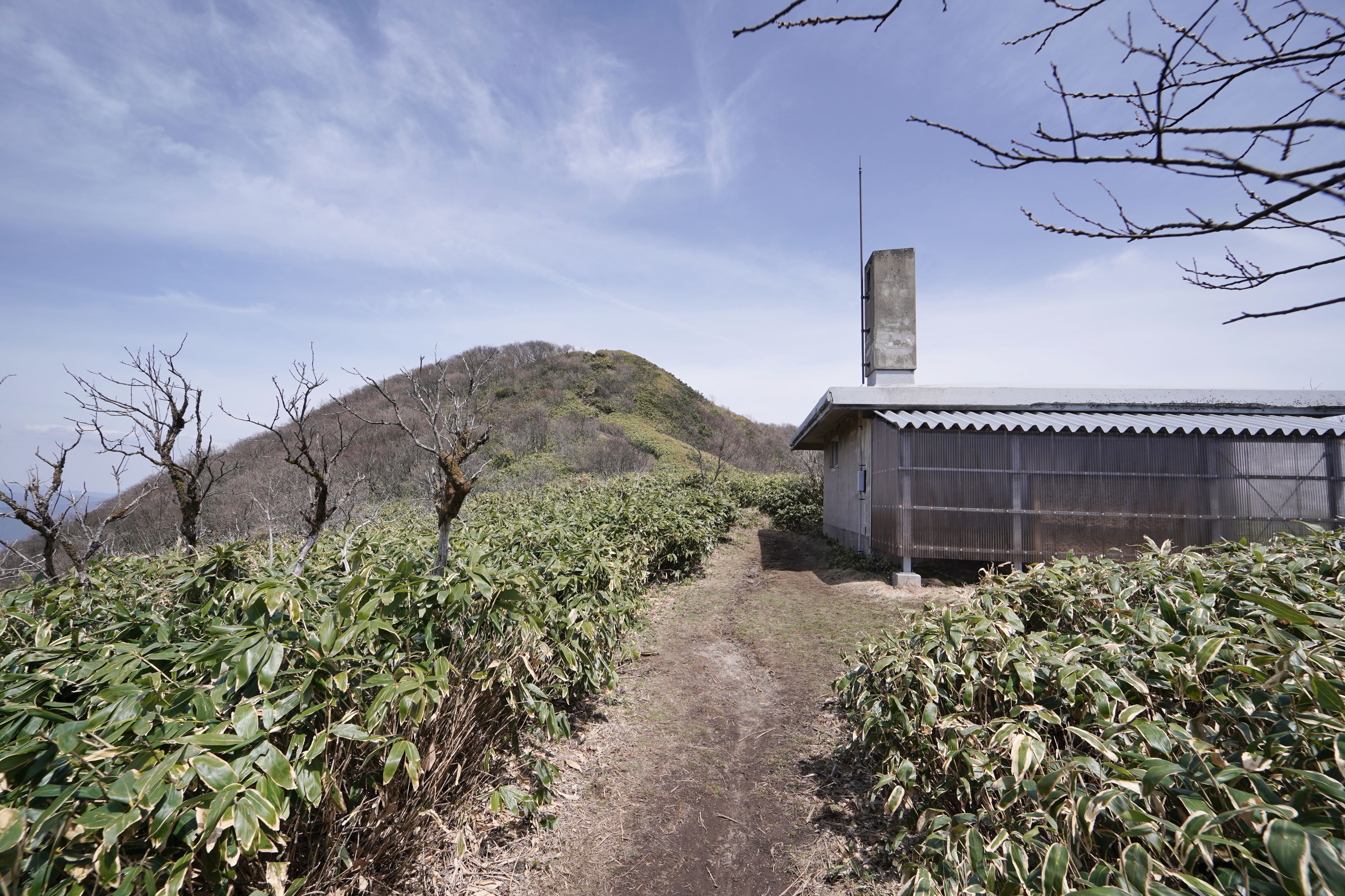 f:id:alpha_image:20190422030103j:plain