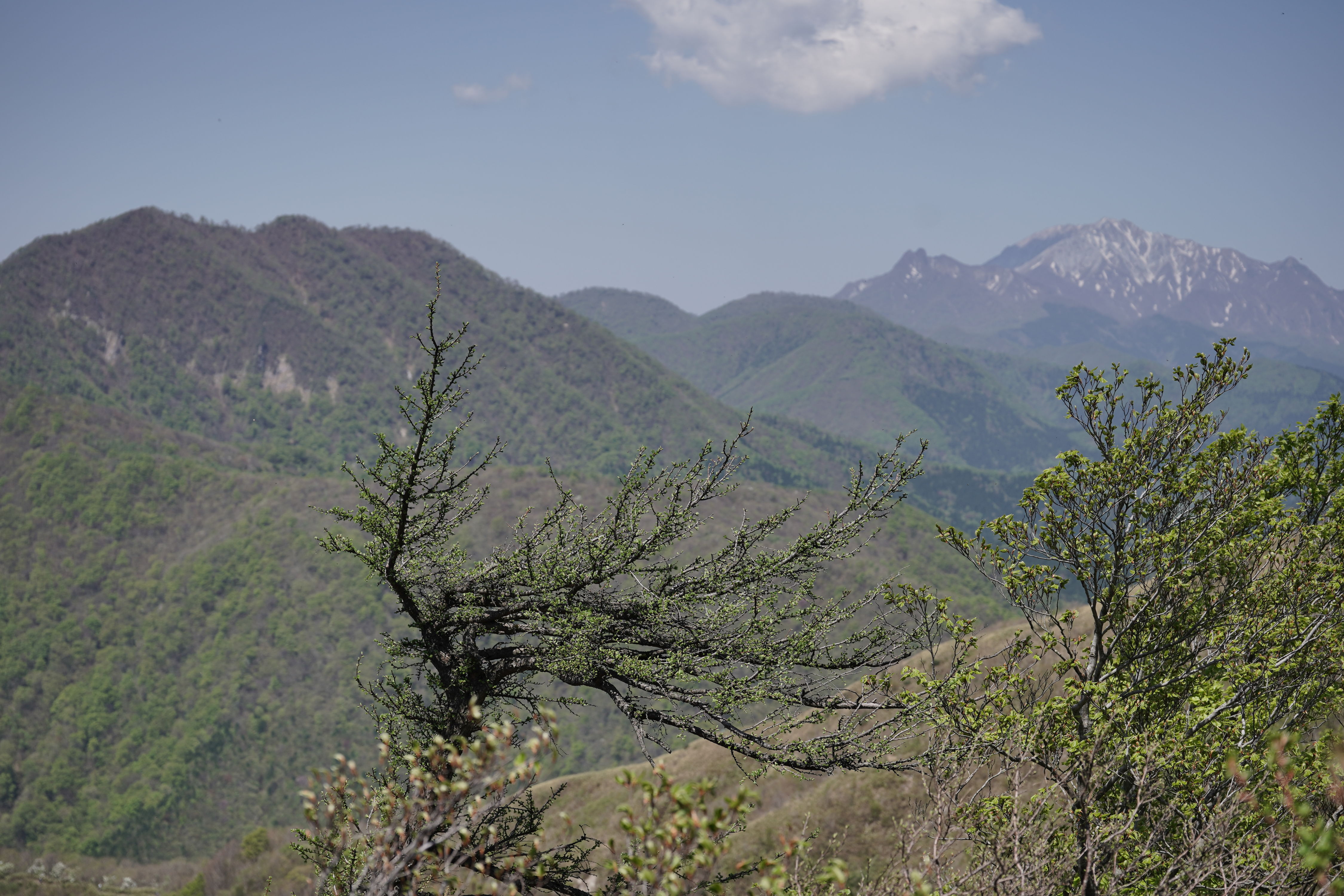 f:id:alpha_image:20190511025135j:plain