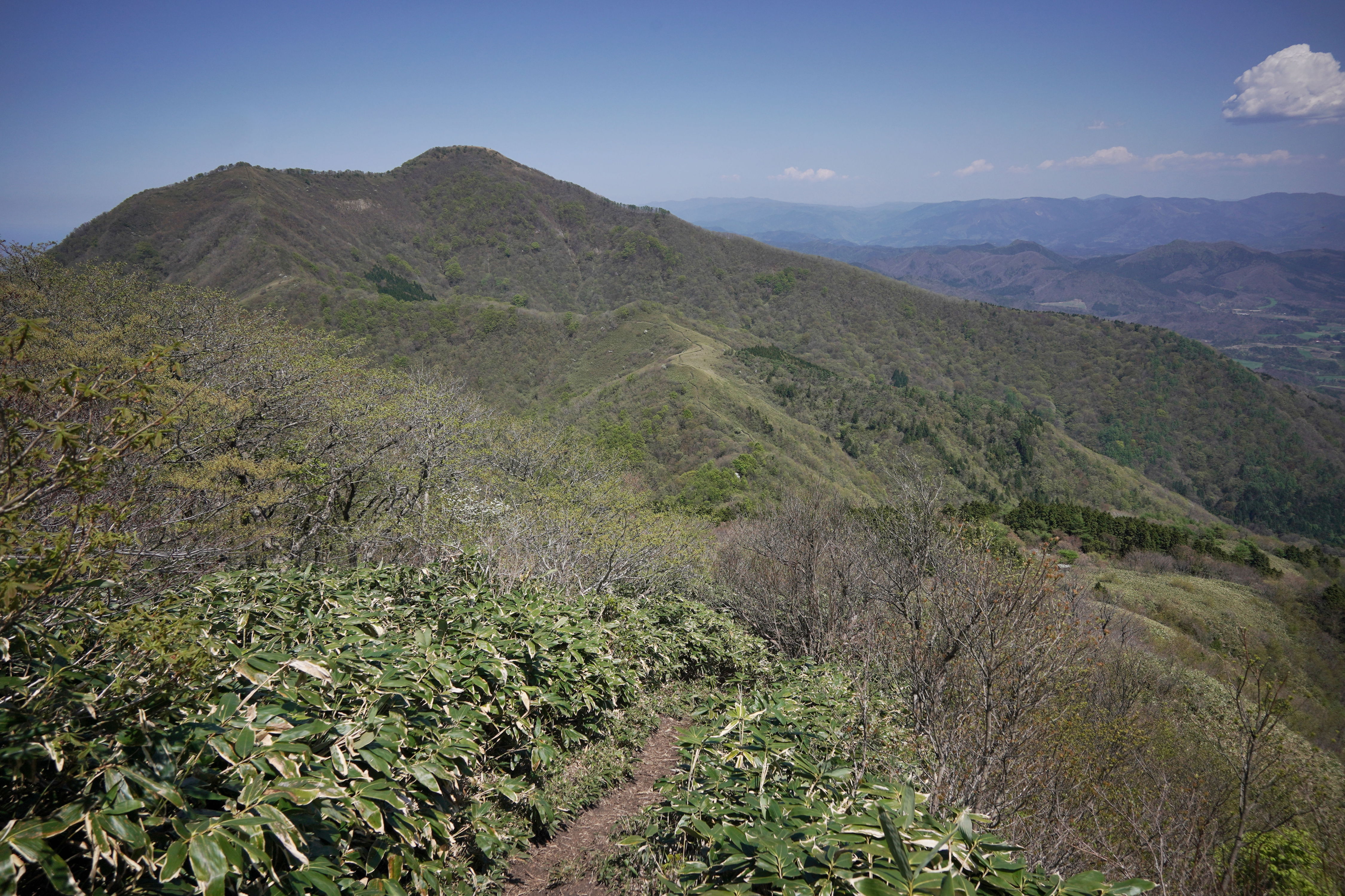 f:id:alpha_image:20190511025505j:plain