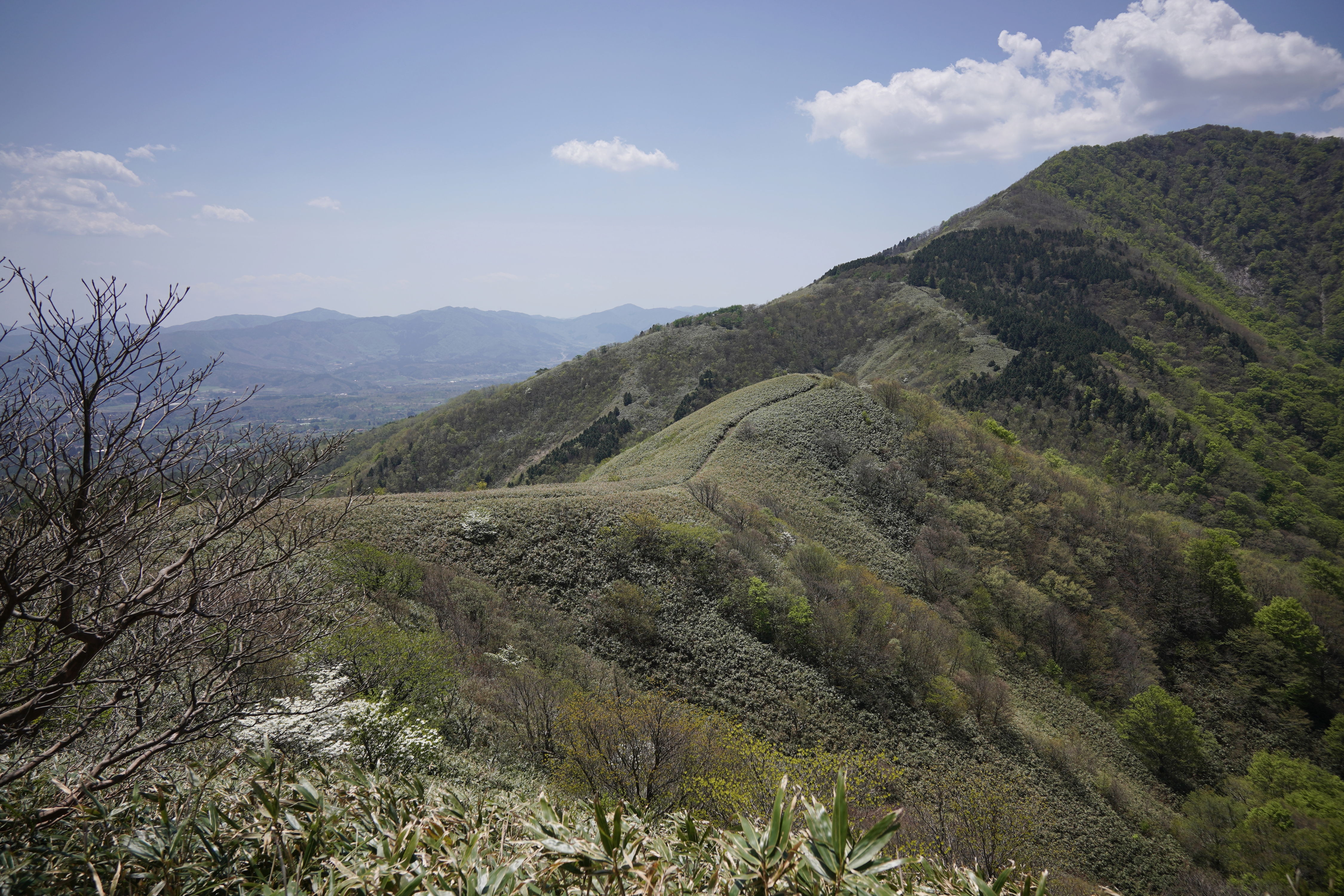 f:id:alpha_image:20190511025523j:plain