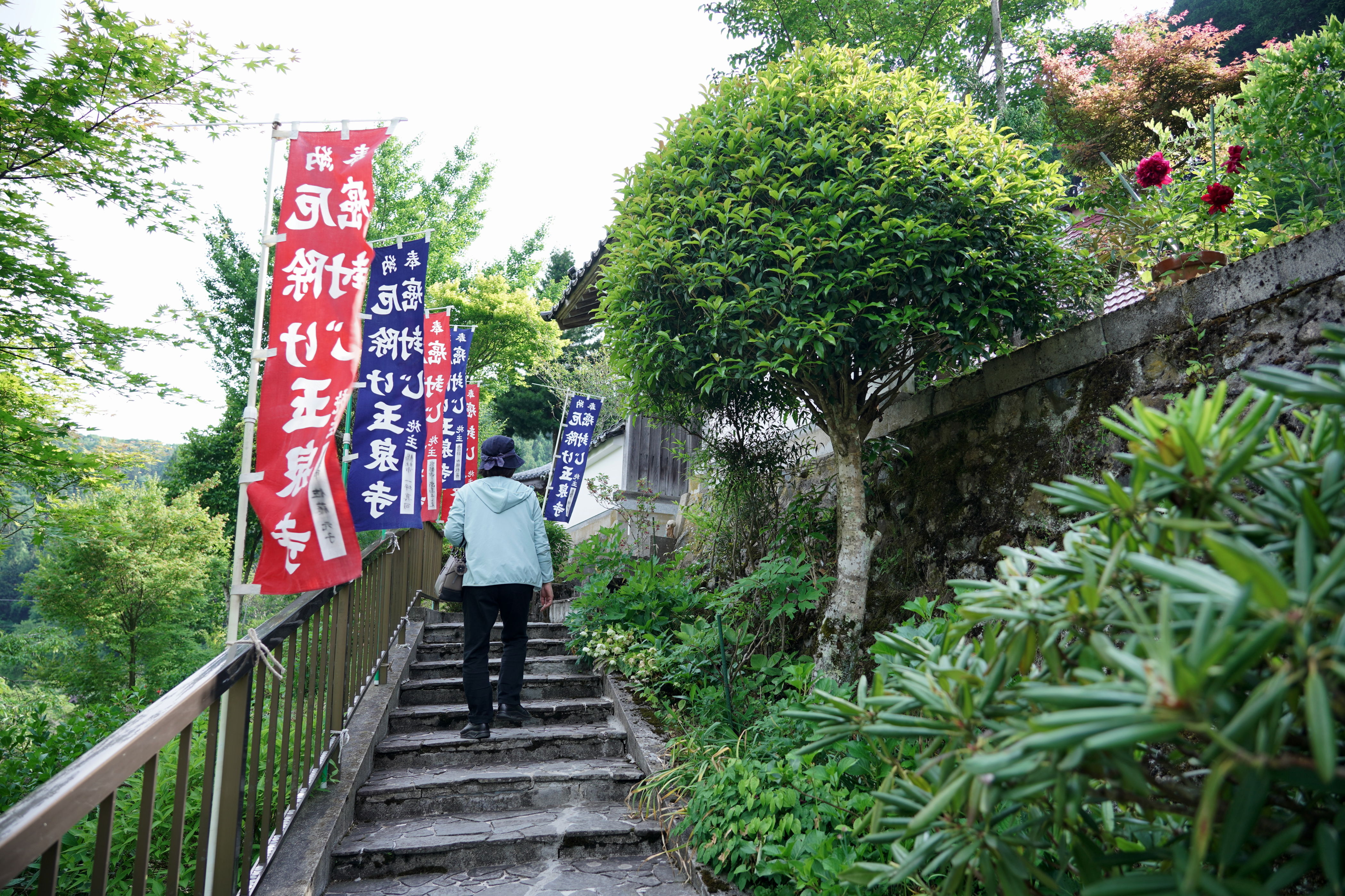 f:id:alpha_image:20190615132211j:plain