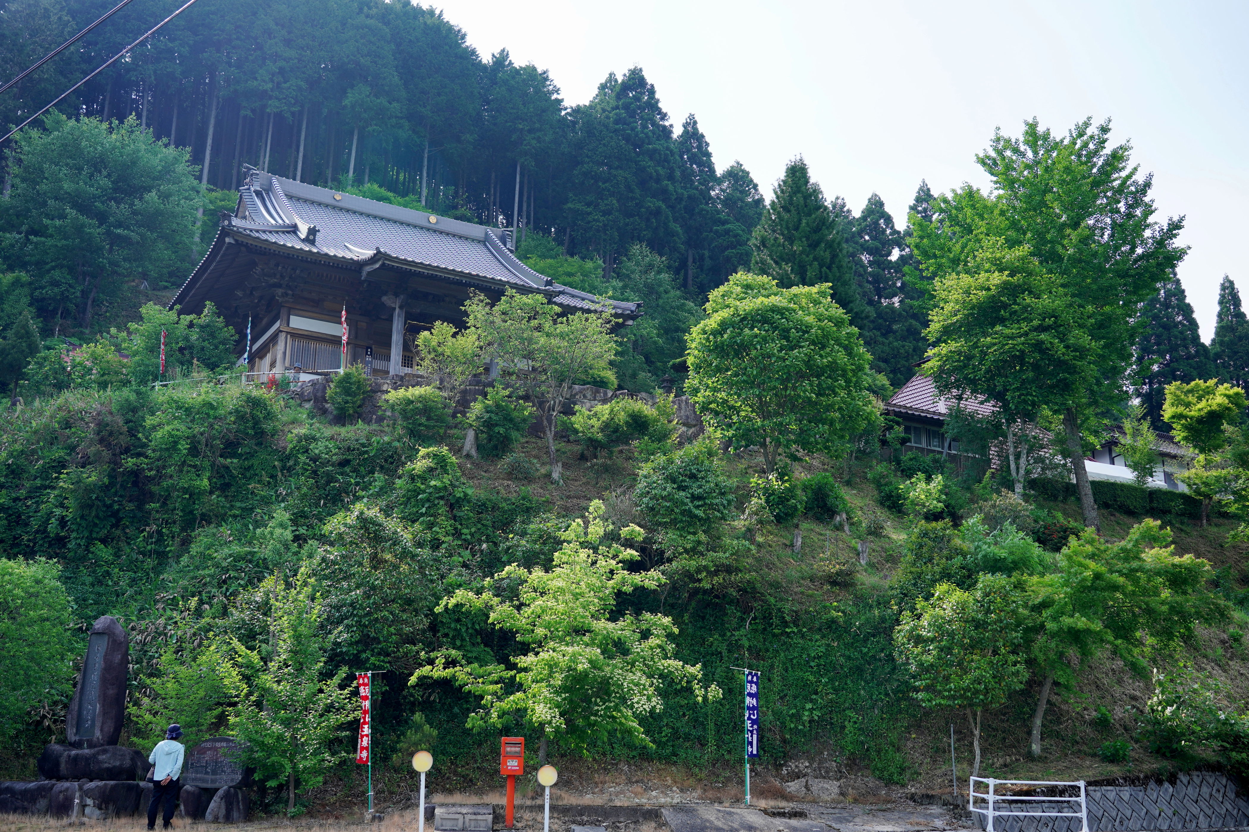 f:id:alpha_image:20190615132247j:plain