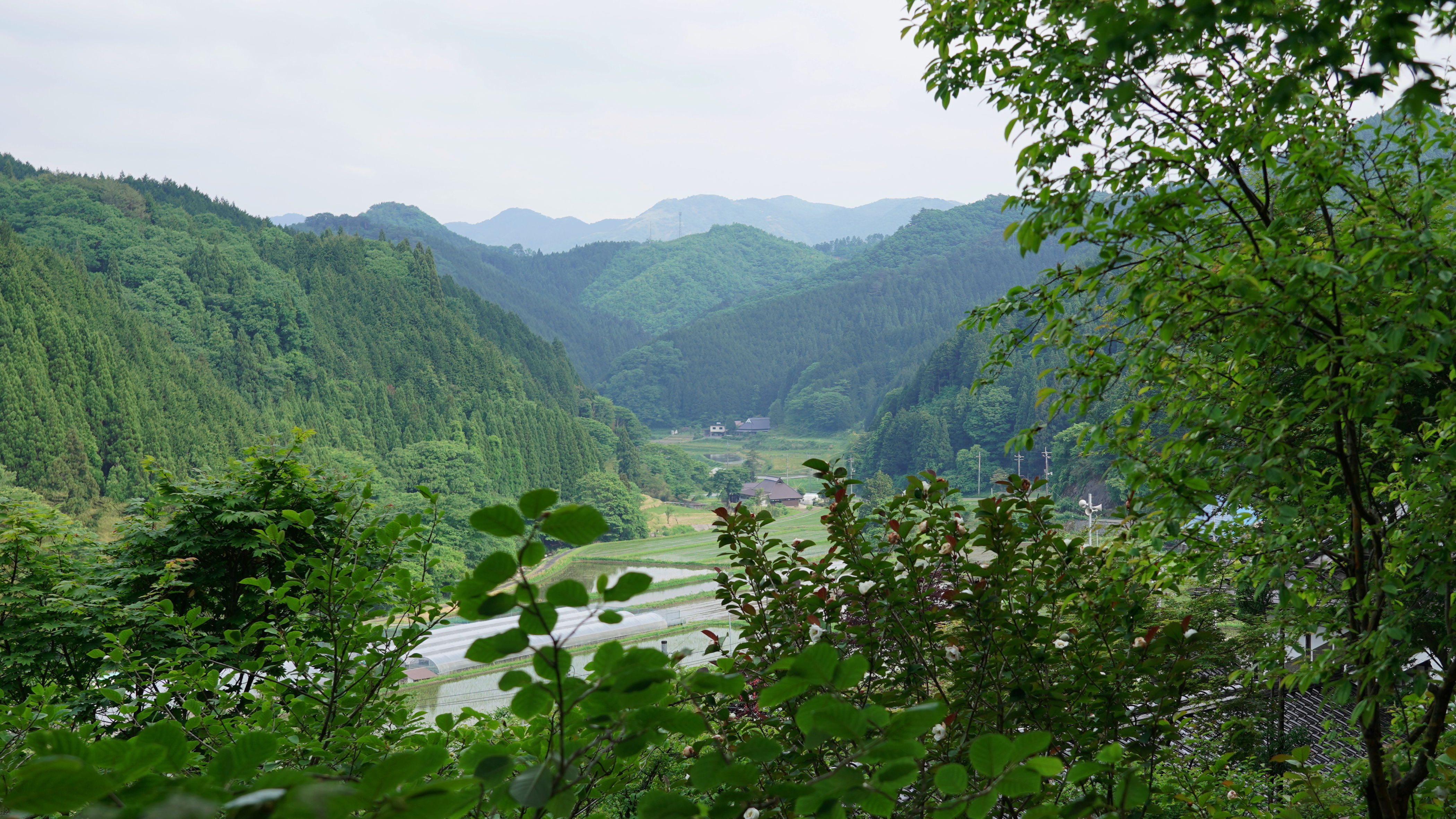 f:id:alpha_image:20190615132624j:plain