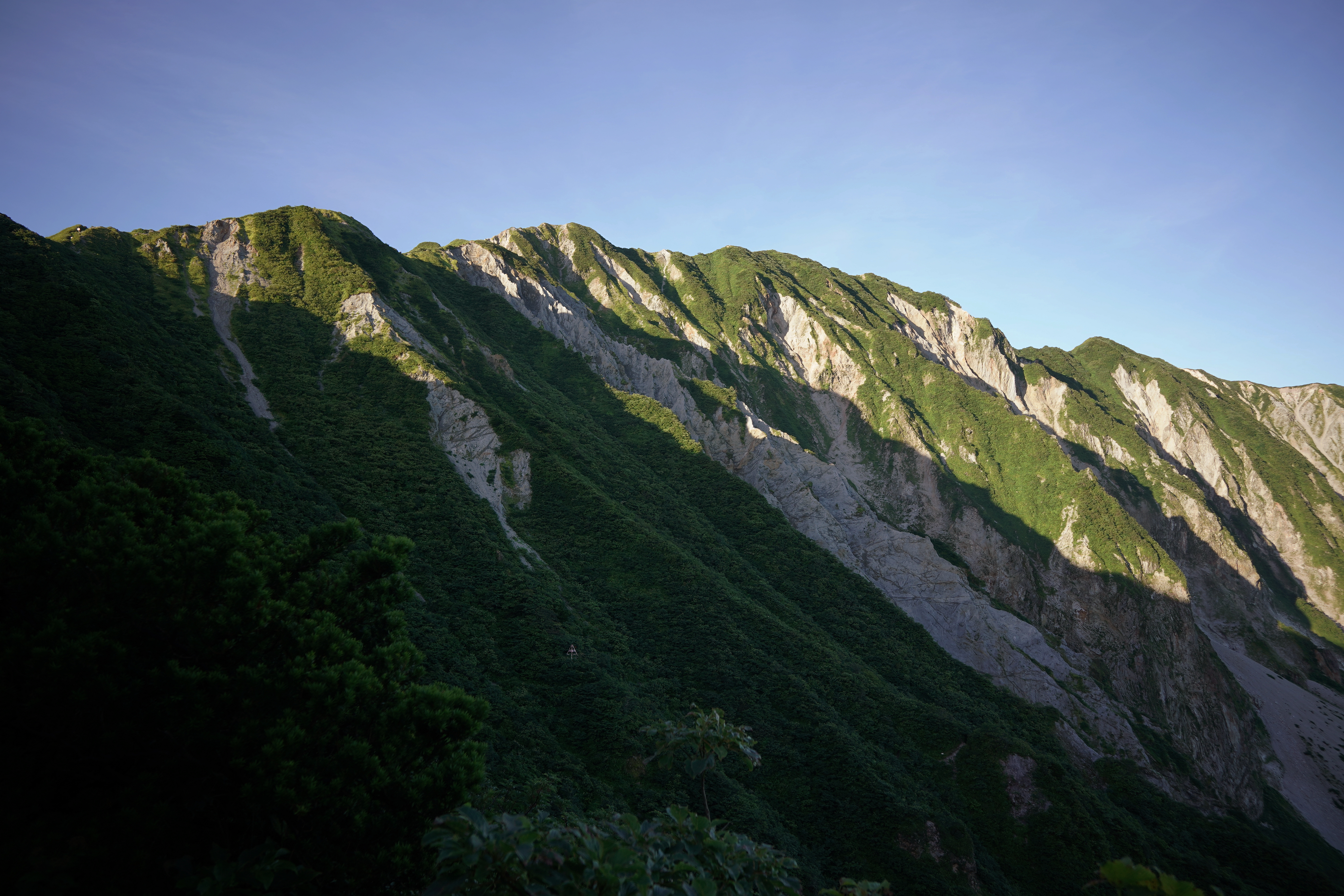 f:id:alpha_image:20190817112312j:plain