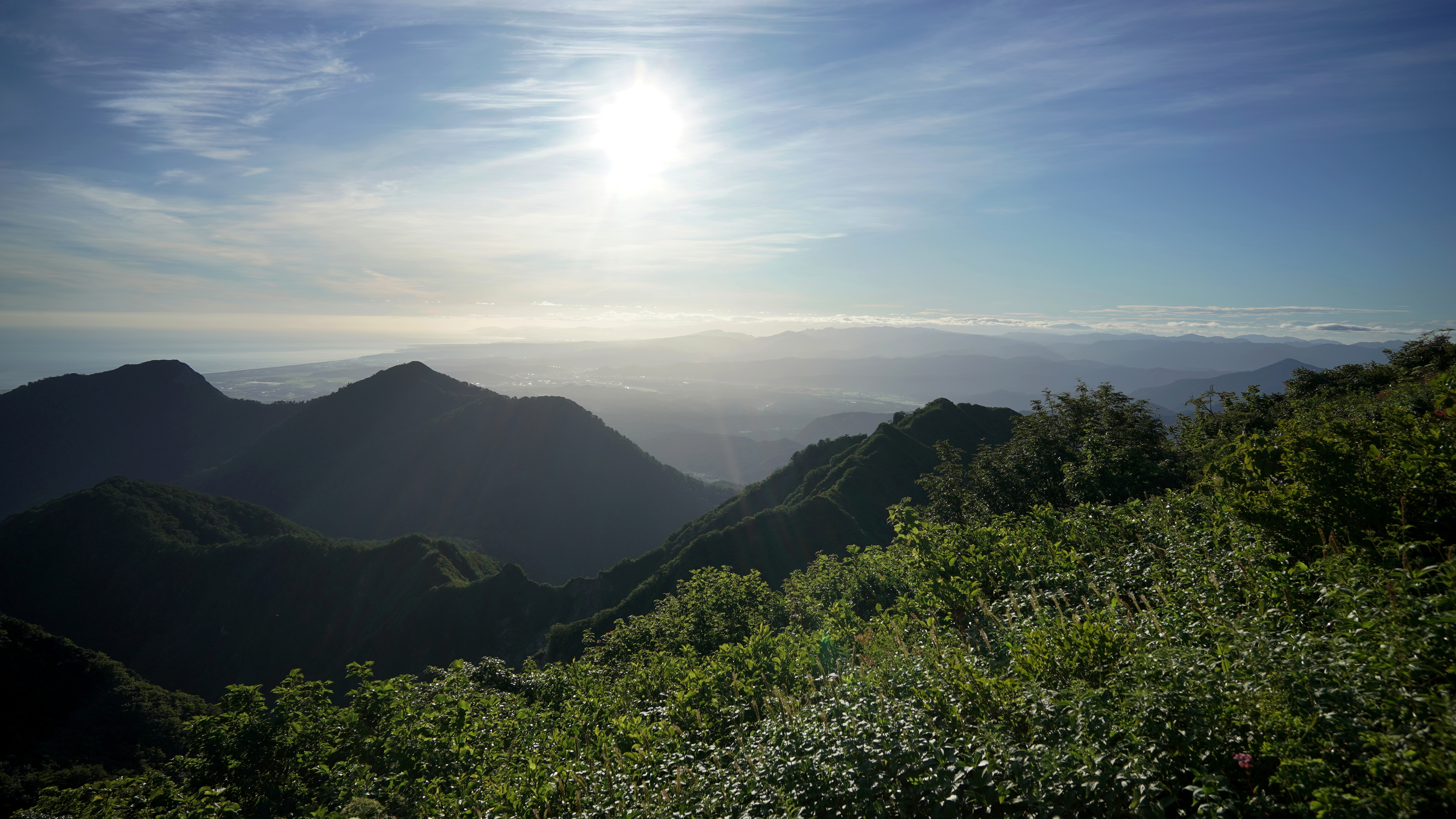 f:id:alpha_image:20190817112334j:plain