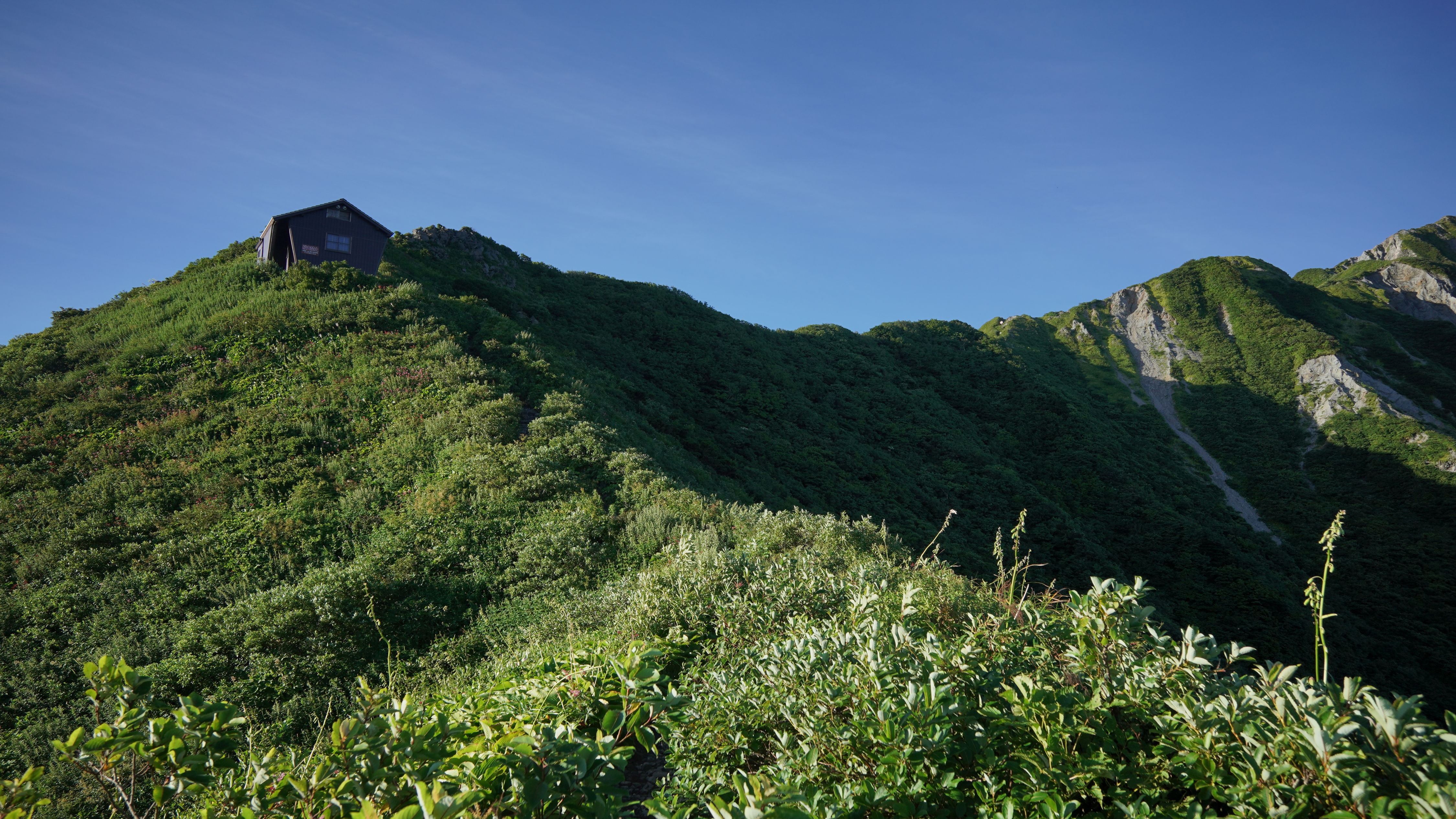 f:id:alpha_image:20190817115916j:plain