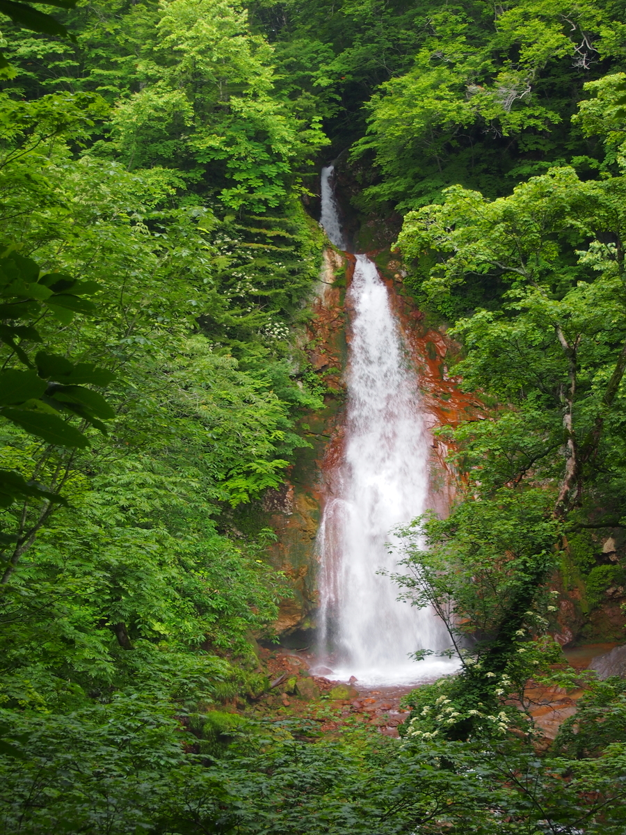 f:id:alpharalpha:20190714004811j:plain f:id:alpharalpha:20190714004811j:plain