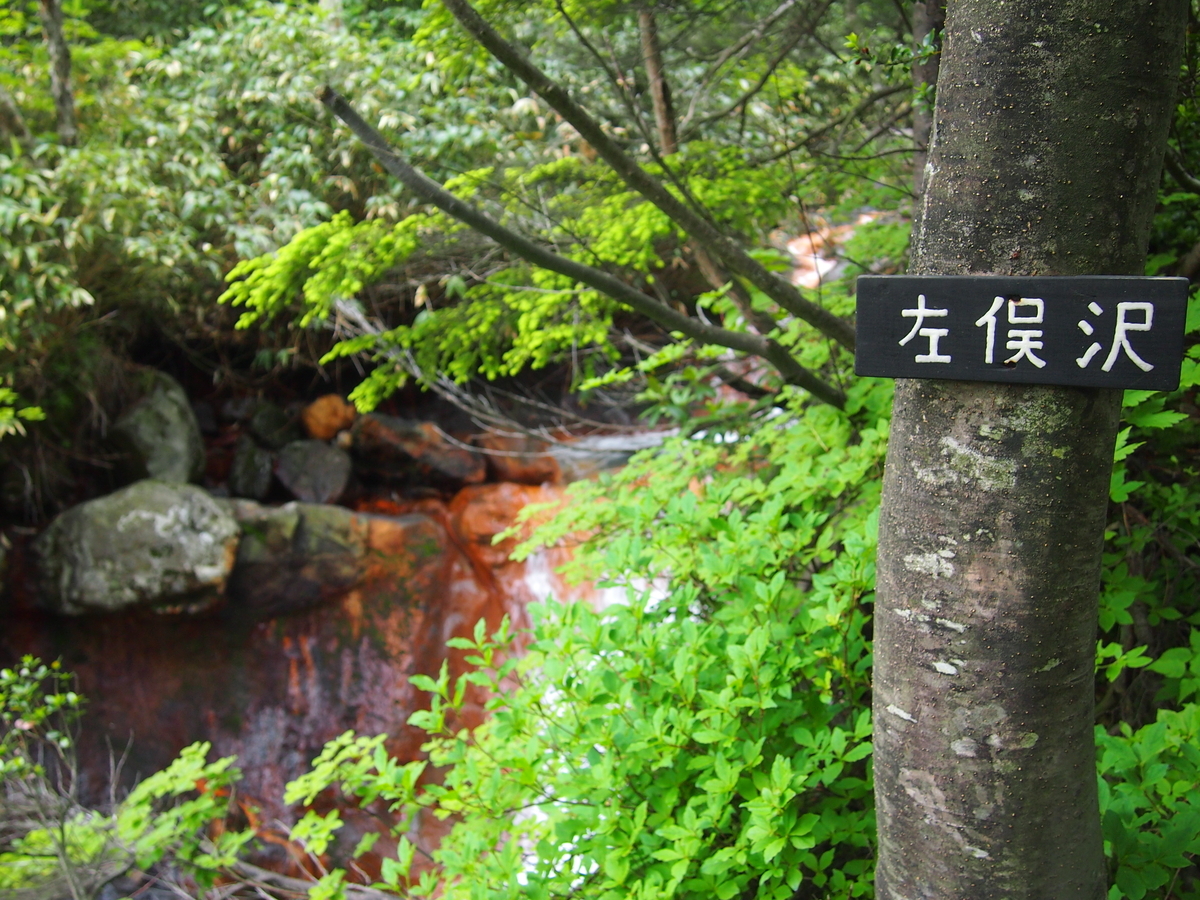 f:id:alpharalpha:20190714005106j:plain f:id:alpharalpha:20190714005106j:plain
